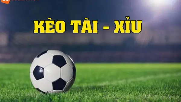 Tài Xỉu 2.5 Là Gì - Khám Phá Mô Hình Cá Cược Thú Vị Nhất